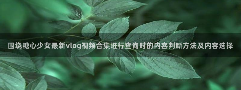 糖心vlog免费观看在线