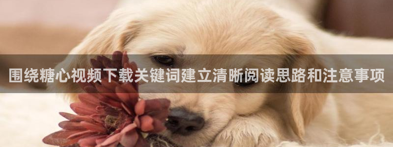 糖心vlog官方官网