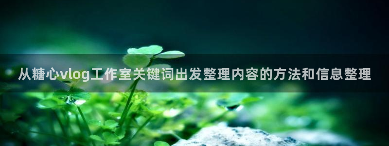 糖心网页版:从糖心vlog工作室关键词出发整理内容的方法和信息整理