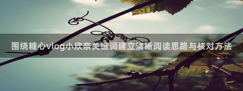 糖心视频免费:围绕糖心vlog小欣奈关键词建立清晰阅读思路与核对方法